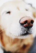 5T4dJnGDRW6M1YtnmThz2A_thumb_c3fe
