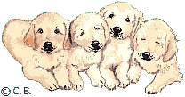 bab-pup
