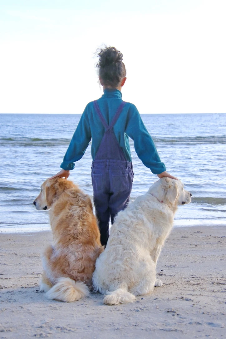 Our Goldens
