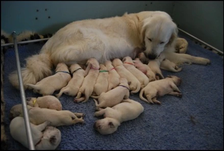 1week-old-002820029