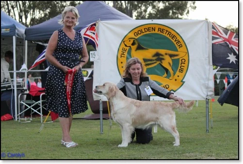 Opp Int In show GR qld 2017