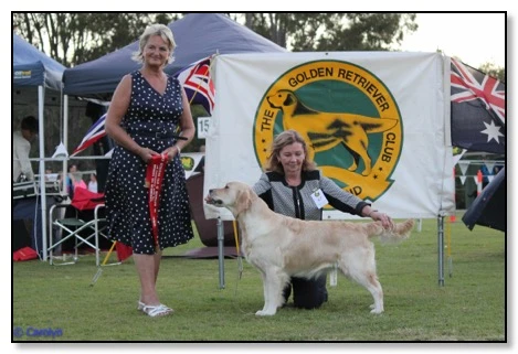 Opp Int In show GR qld 2017