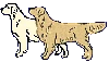 two_dogs