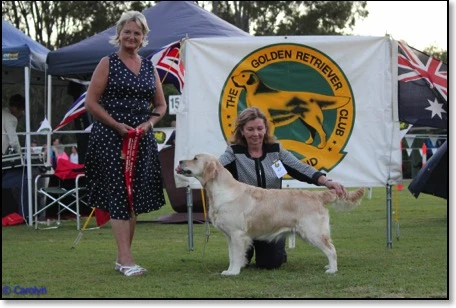 Opp Int In show GR qld 2017