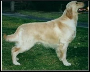 hamish-2
