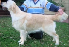 soda2yrs-2